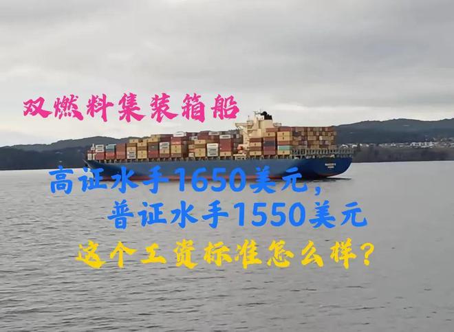 Kaiyun：雙燃料集裝箱船高證水手1650美元普證1500美元這個工資標準怎么樣？(圖1)