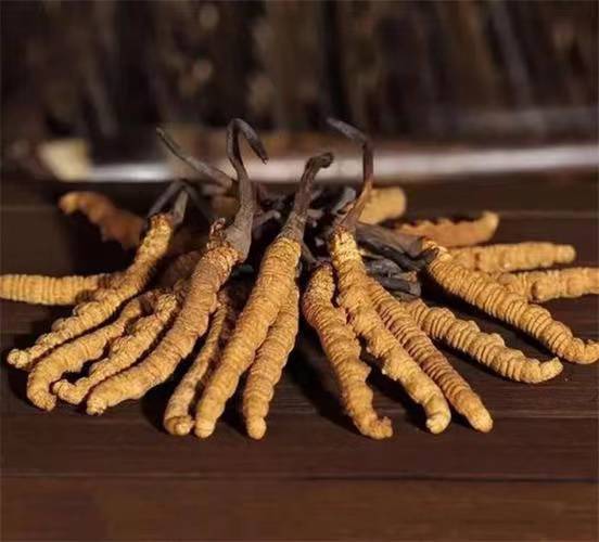生態養殖新模式：李順江的綠色奇跡與經濟轉型(圖1)